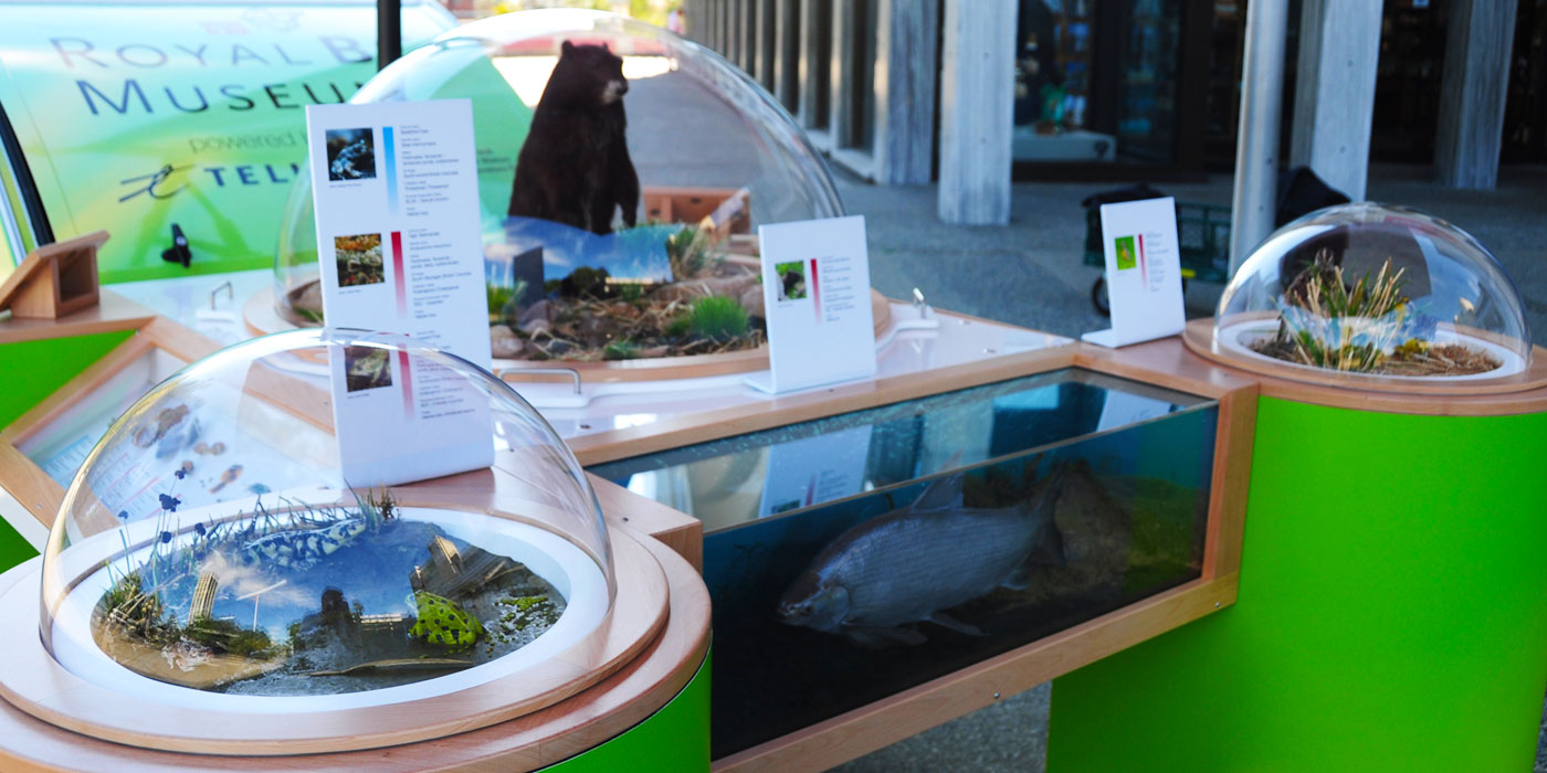 to California Quality Plastics California Quality Plastics